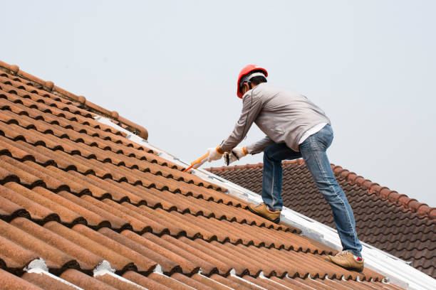 Best Gutter Installation and Repair  in Central City, IA